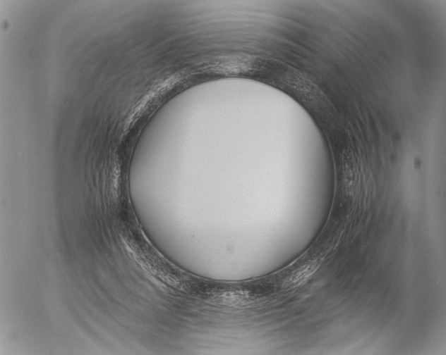 X0000053010304200507291714