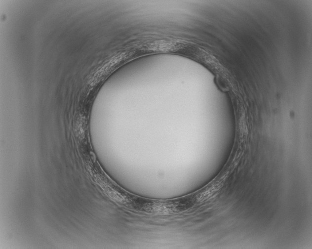 X0000053010305200507291714