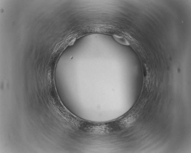 X0000053010306200507291714