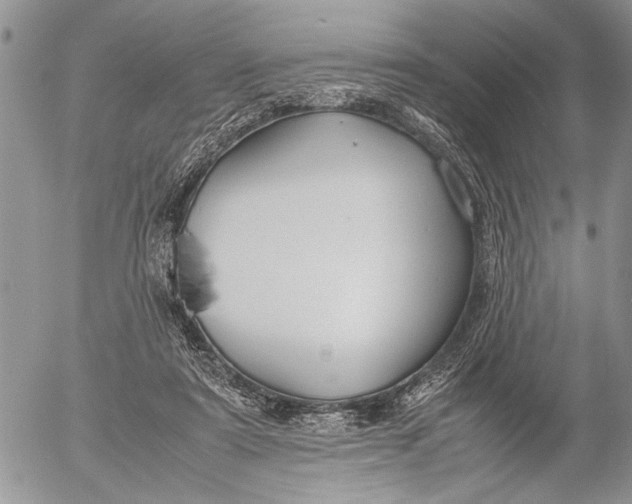 X0000053010307200507291714