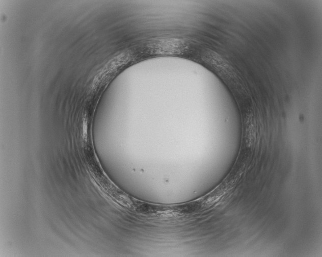 X0000053010310200507291714