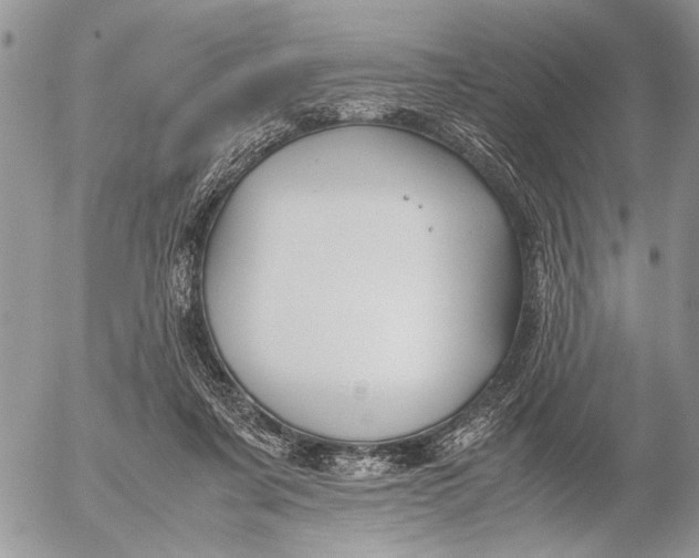 X0000053010311200507291714