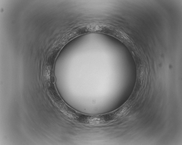 X0000053010315200507291714