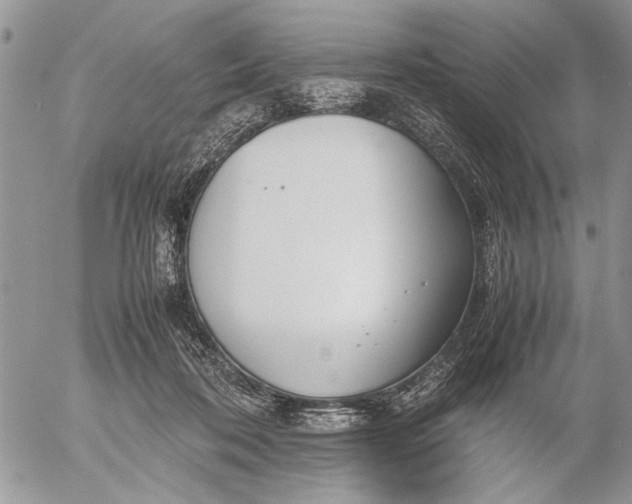 X0000053010316200507291714