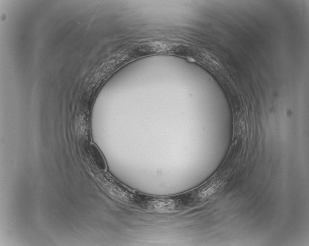 X0000053010317200507291714