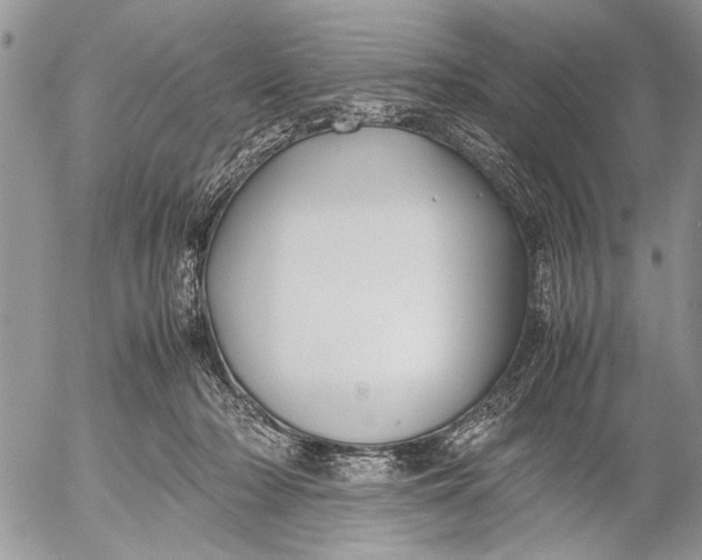 X0000053010318200507291714