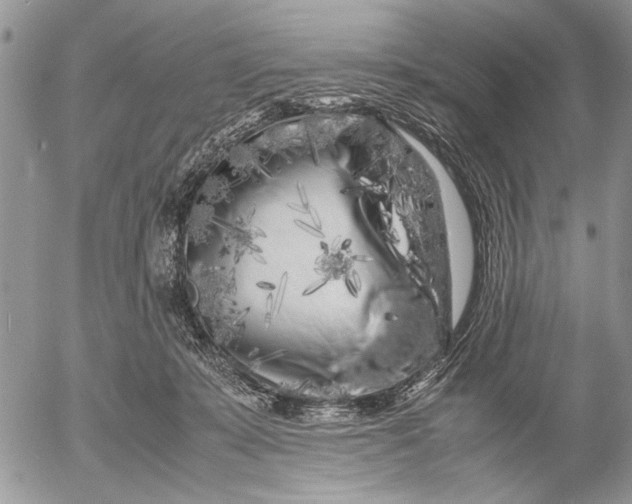 X0000053010319200507291714