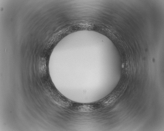 X0000053010320200507291714