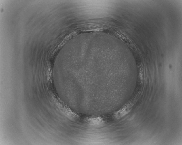 X0000053010322200507291714