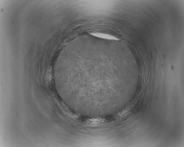 X0000053010323200507291714