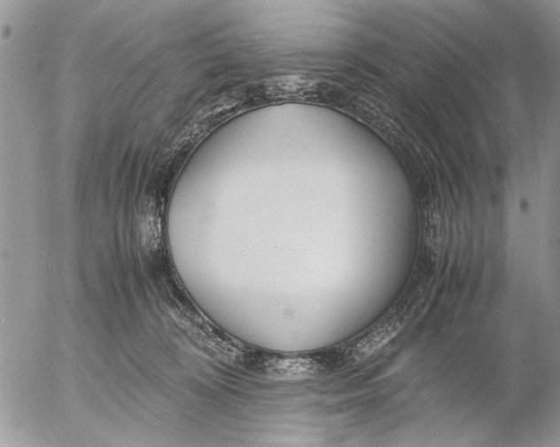 X0000053010324200507291714