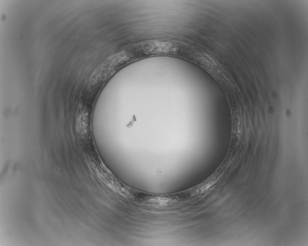 X0000053010326200507291714