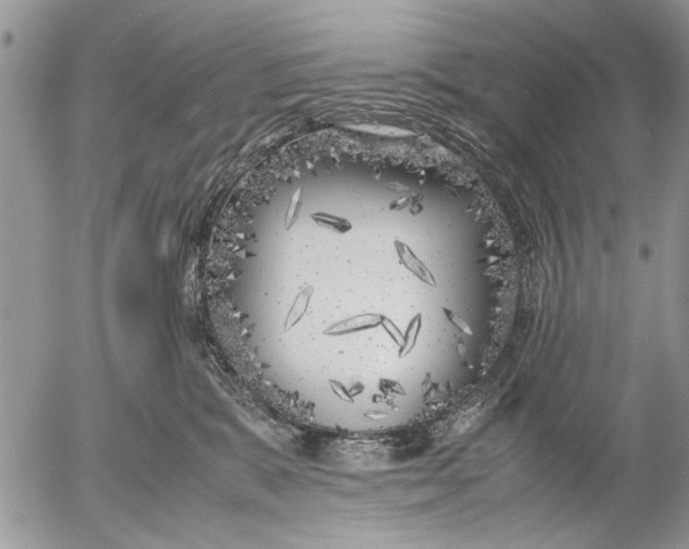 X0000053010327200507291714