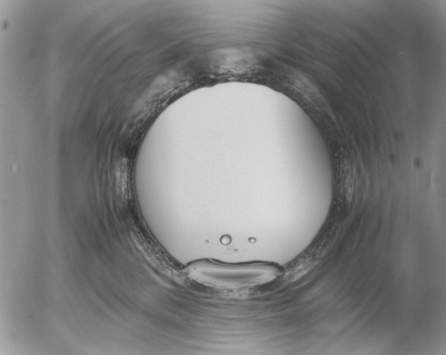 X0000053010328200507291714