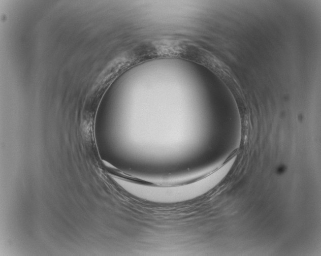 X0000053010329200507291714