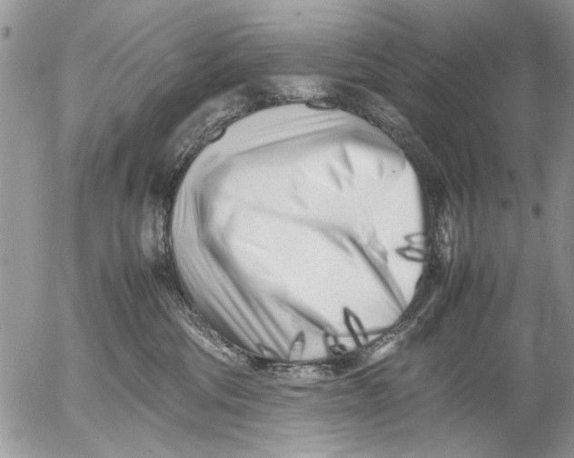 X0000053010330200507291714