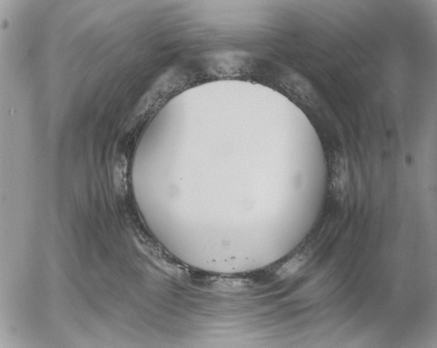 X0000053010332200507291714