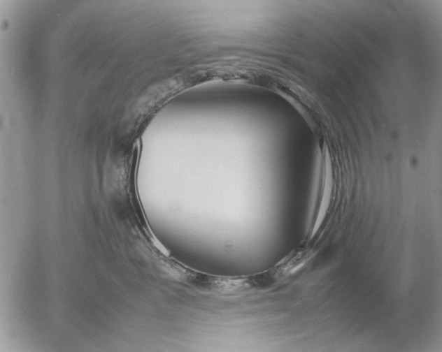 X0000053010333200507291714