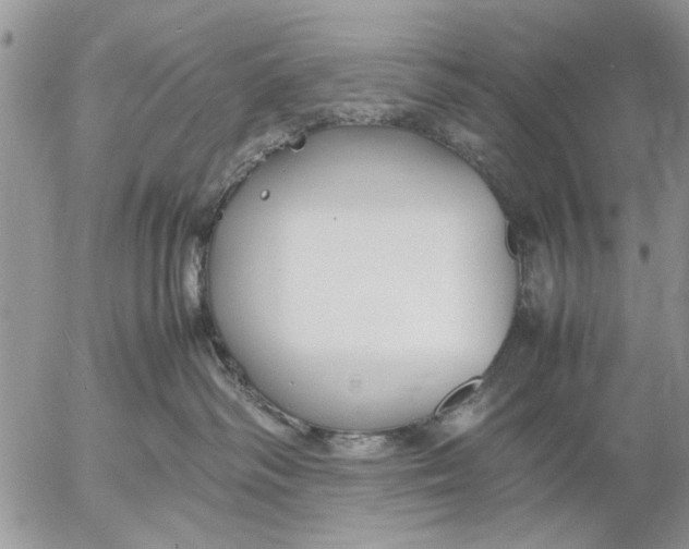 X0000053010334200507291714