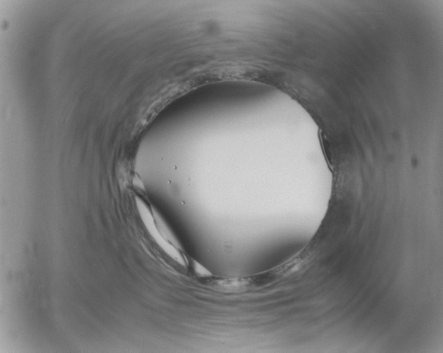 X0000053010335200507291714