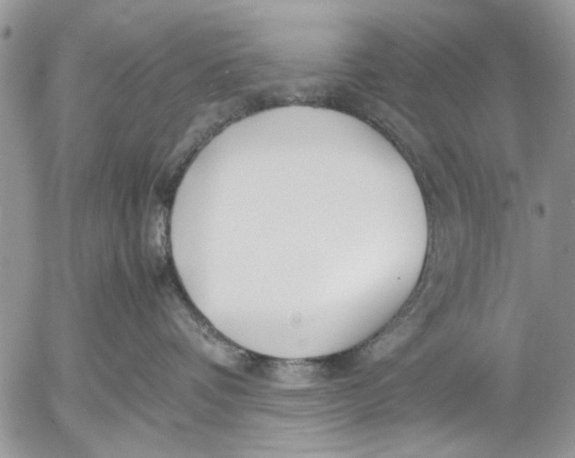 X0000053010336200507291714