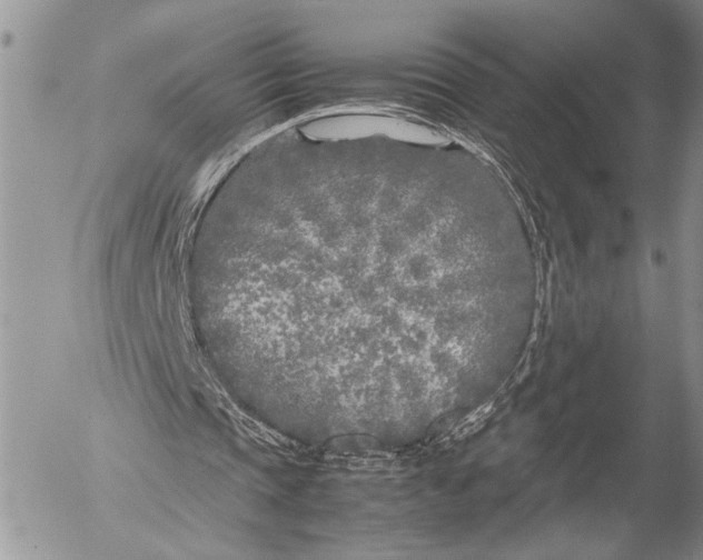 X0000053010337200507291713