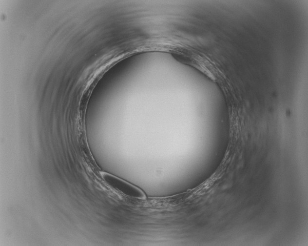 X0000053010338200507291713