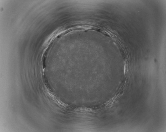 X0000053010339200507291713