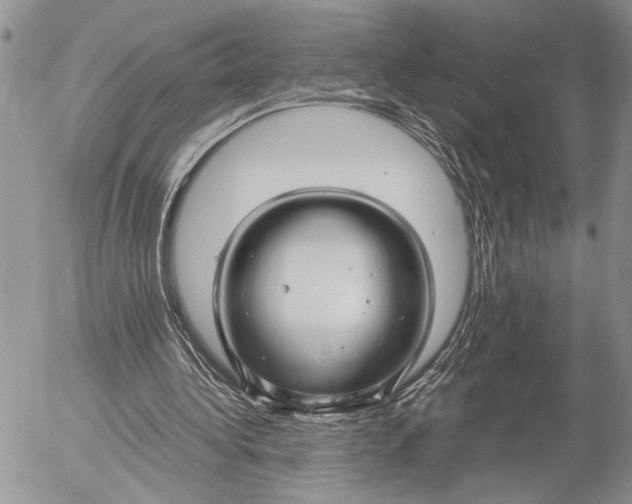 X0000053010340200507291713