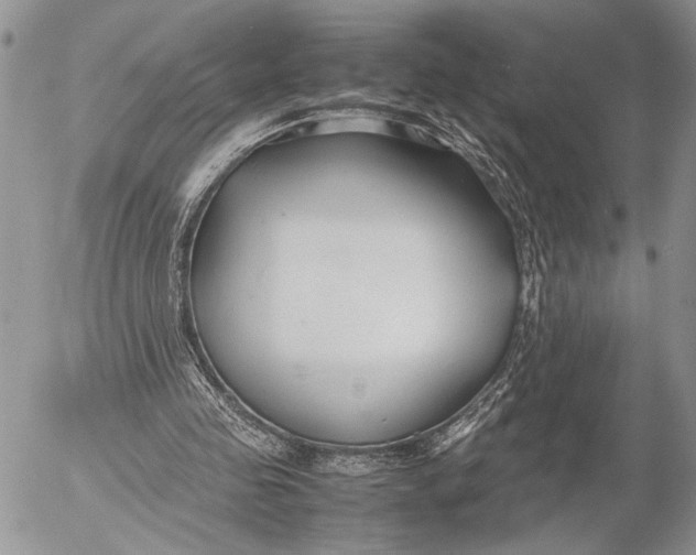 X0000053010341200507291713