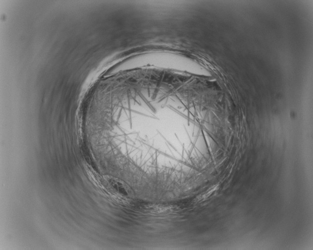 X0000053010343200507291713