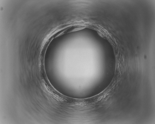 X0000053010344200507291713