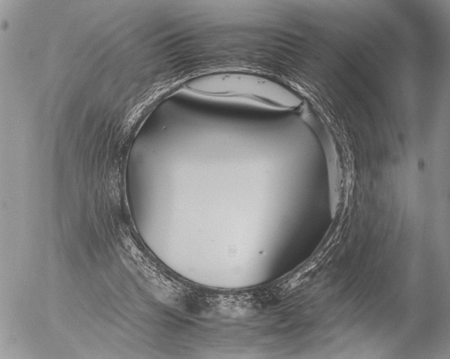 X0000053010345200507291713