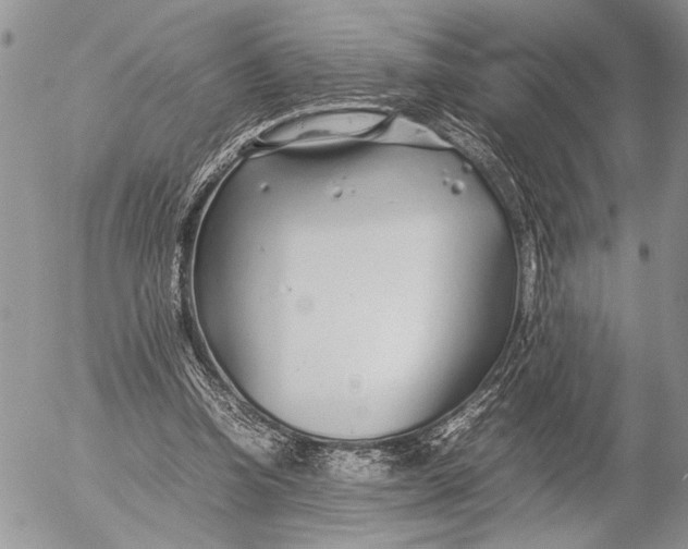 X0000053010346200507291713