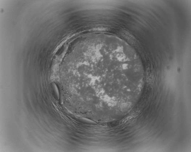 X0000053010347200507291713