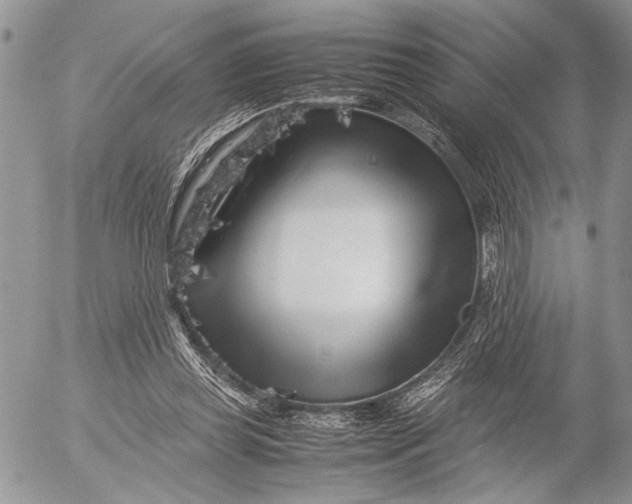 X0000053010349200507291713