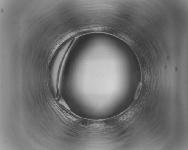 X0000053010350200507291713