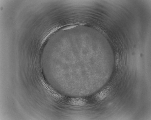 X0000053010351200507291713