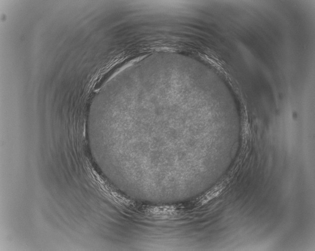 X0000053010353200507291713