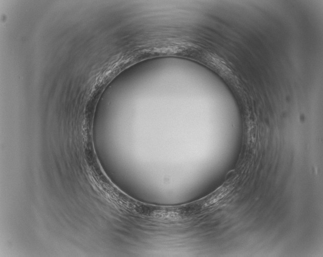 X0000053010354200507291713