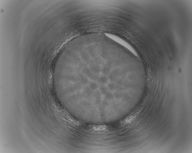 X0000053010355200507291713