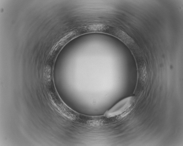 X0000053010356200507291713