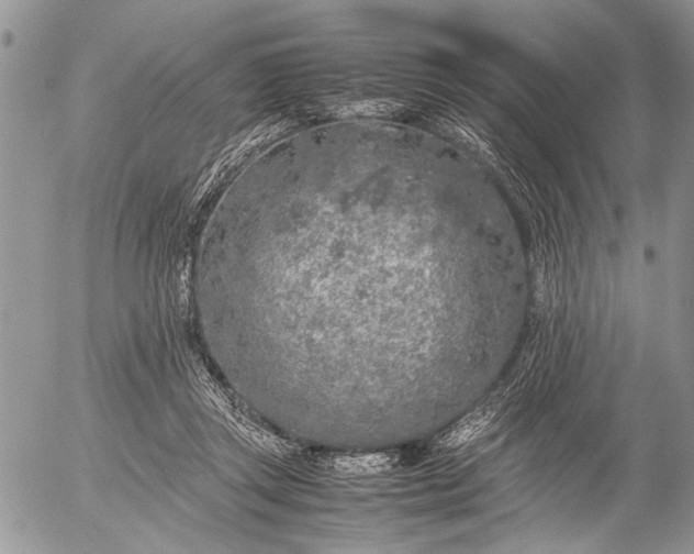 X0000053010357200507291713