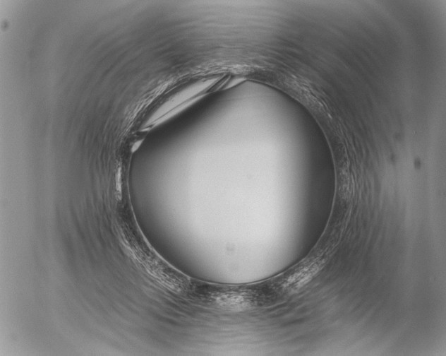 X0000053010358200507291713