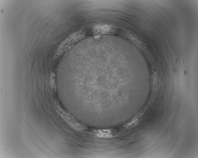 X0000053010361200507291714