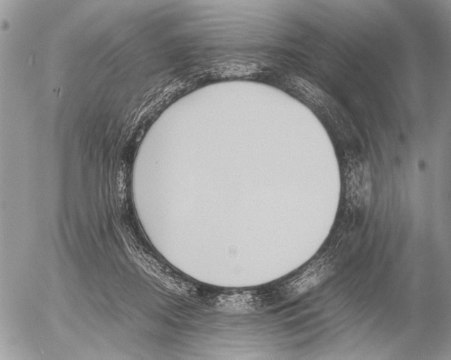 X0000053010362200507291714