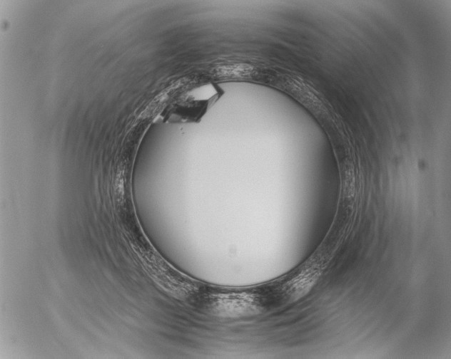 X0000053010363200507291714