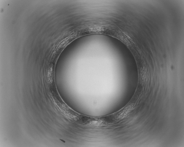 X0000053010364200507291714