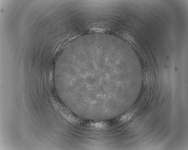 X0000053010365200507291714