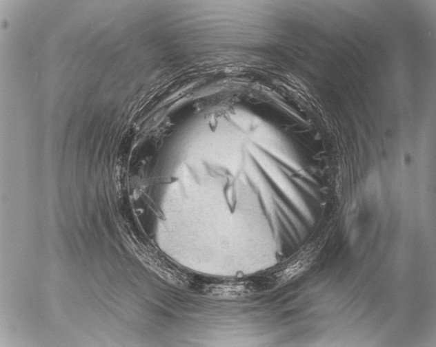 X0000053010366200507291714